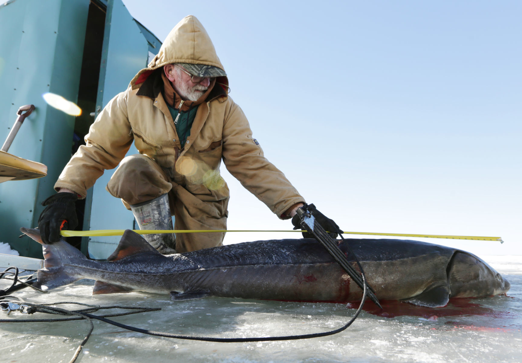 08Sturgeon0509AJA-02162018145708